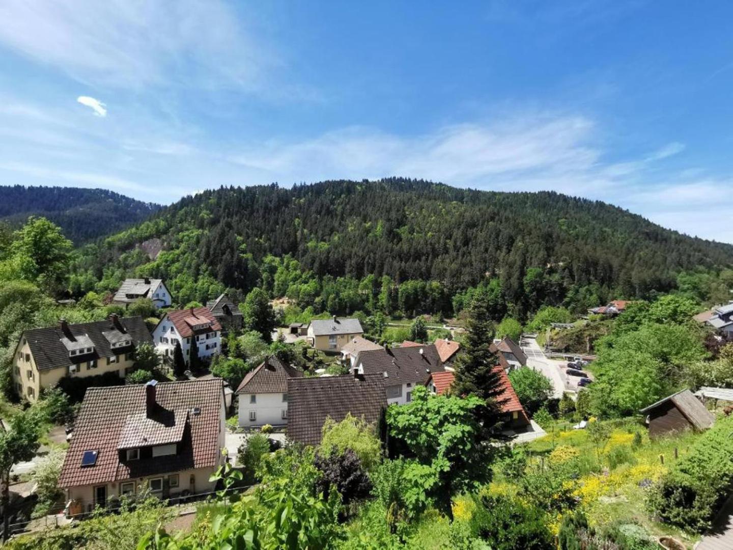 Ferienwohnung Am Rubersbach Hornberg Kültér fotó